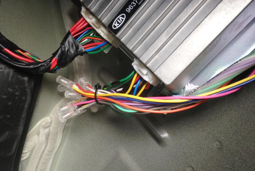 The input wire bundle